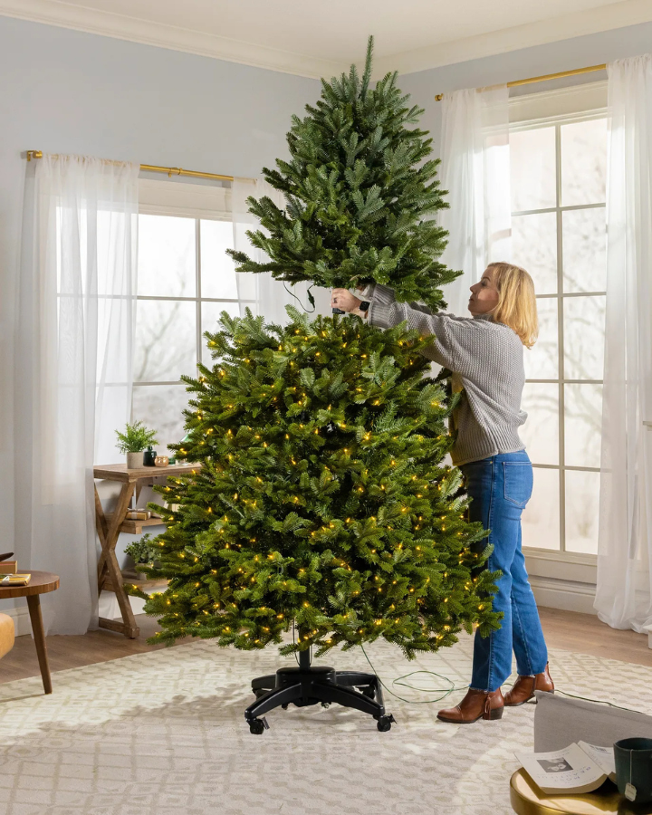 Glowpine Starlight Balsam Tree