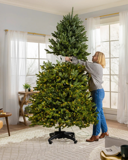 Glowpine Starlight Balsam Tree